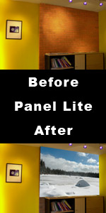 panel